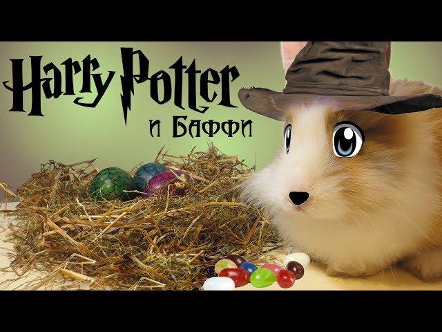 BUFFY at Hogwarts! We make smelly beans! Entertainment for children !!