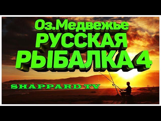 Русская рыбалка 4.Карп на ПВА200 лайков фидер Fortuna FD420(19.5кг)РОЗЫГРЫШ НАЖИВКИ И БЛЕСЕН