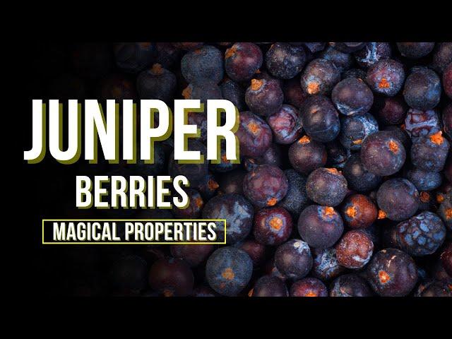 Juniper Berry Magical Properties