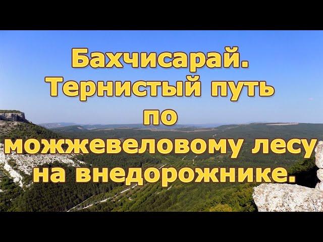 Бахчисарай. Тернистый путь по можжевеловому лесу на внедорожнике.