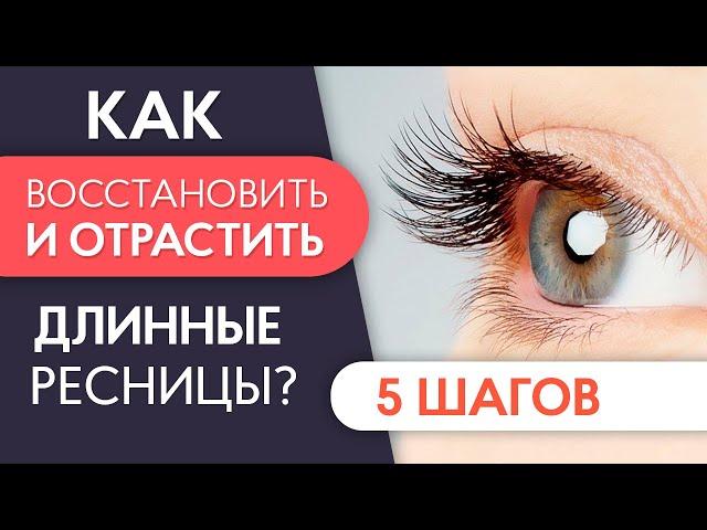 КАК ОТРАСТИТЬ РЕСНИЦЫ? 5 шагов для восстановления и отращивания ресниц  PRO Взгляд