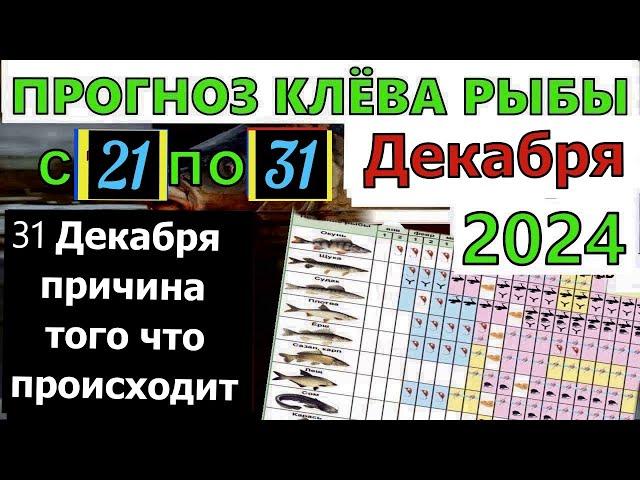 Прогноз клева рыбы на неделю с 21 по 31 Декабря 2024  Календарь клева рыбы  Лунный Календарь рыбака