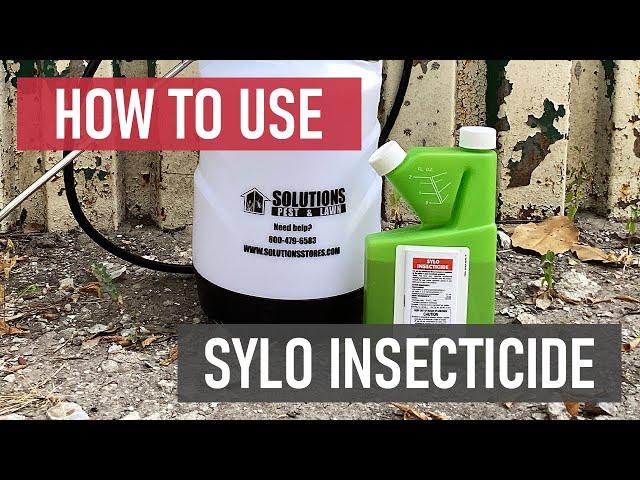 How to Use Sylo Insecticide