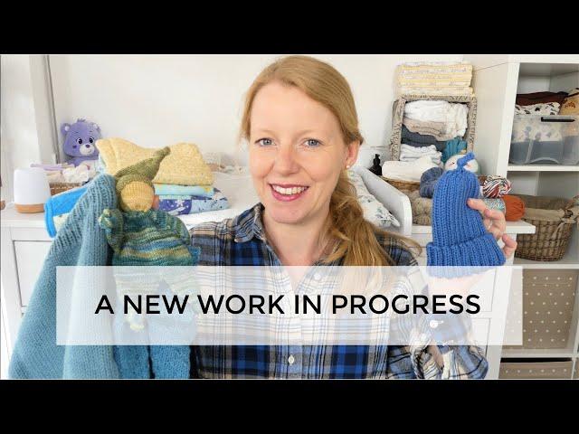 Anna Knitter Podcast 147   A new work in progress