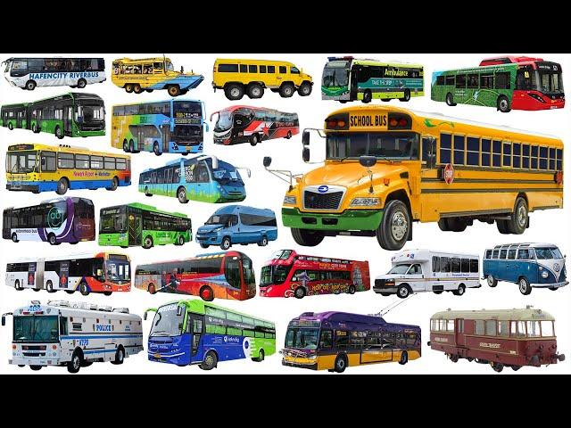 Police Bus, School Bus, Ambulance, Fire, Coach, City Bus | Buses Name, Vehicle Name Sounds For Kids