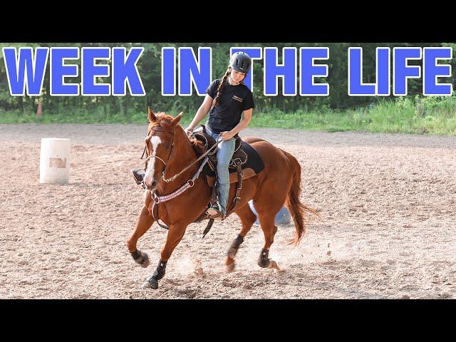 19 Year Old Equestrian NOT In College! Week In The Life!