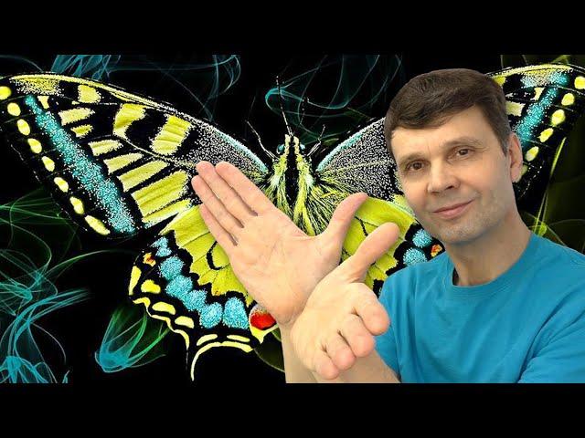   Теория Хаоса  +  Эффект бабочки  =  Море бесплатной энергии!!!  Butterfly Effect  Игорь Белецкий