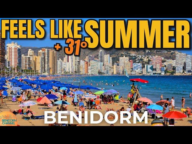 BENIDORM - Walk Along The Amazing Levante Beach & Bars