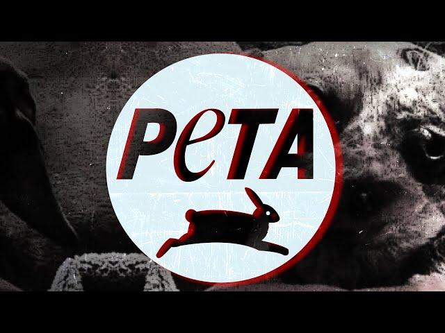 В кроличью нору: PETA