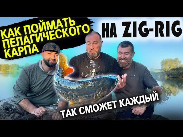 Как поймать пелагического карпа на оснастку zig-rig? Легко! Так сможет каждый!