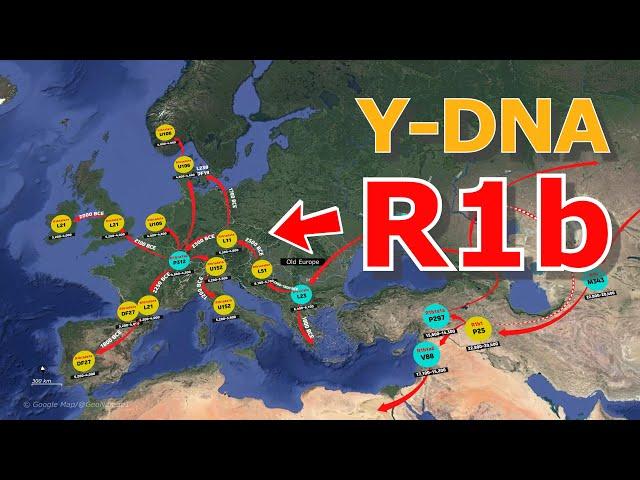 How did the Y-DNA Haplogroup R1b become European(Human Migration)?