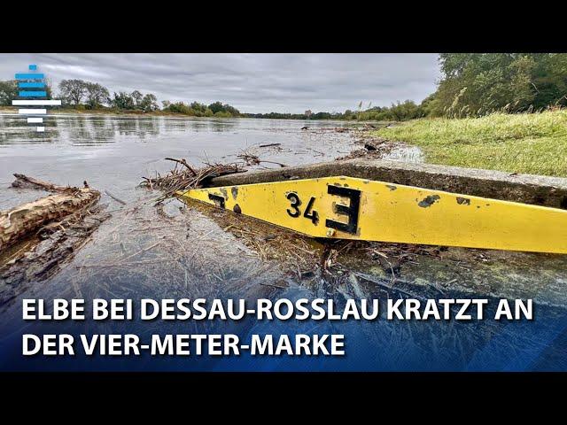 Elbe bei Dessau-Roßlau kratzt an der Vier-Meter-Marke: „Wir sind im Gefahrenfall gewappnet“