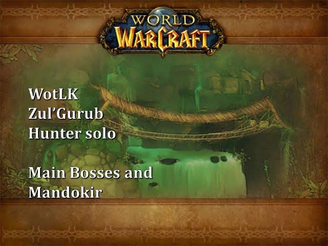 WoW: WotLK Classic – Zul'Gurub Hunter solo (Main Bosses and Mandokir)