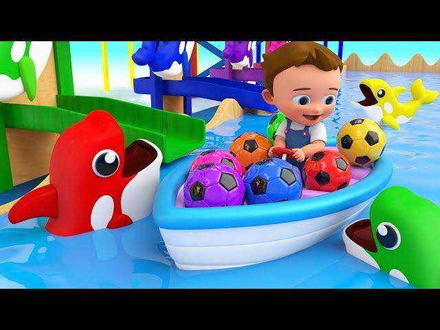 Dolphins Color Balls Tumbling Toy Set 3D - Little Baby Learning Colors for Children Kids Educational