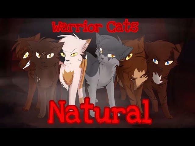 [13+] [Natural] Warrior Cats Villains - Animator Tribute