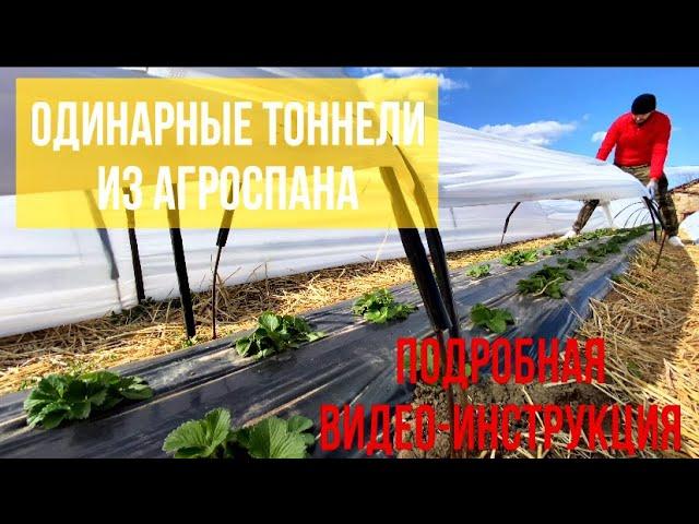 Тоннели из агроспана (агроволокна,пленки) для клубники .Подробная видео -инструкция