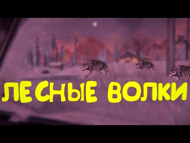 Лесные волки ► The Long Dark - Episode 3 #21