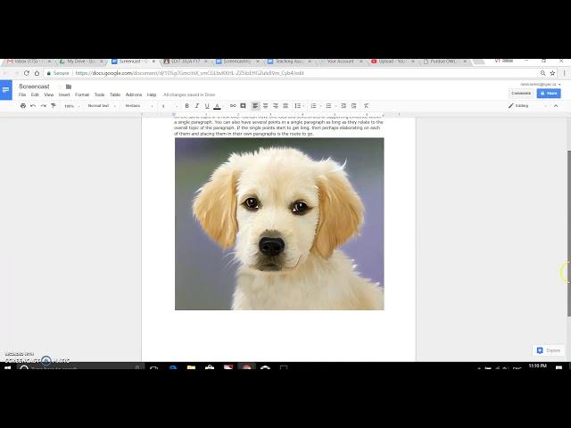 How to: In line, Wrap text, and Break text in google docs