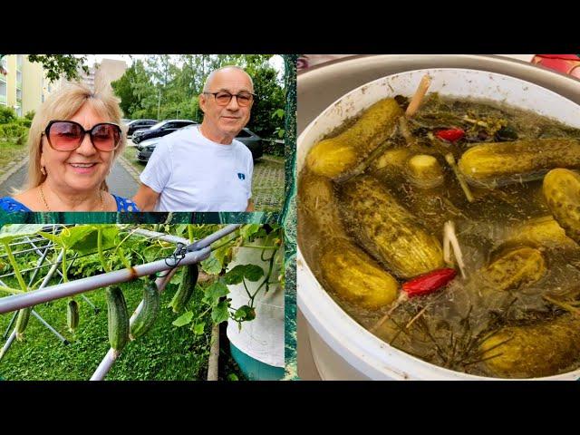 Занимались всем  по немногу.. квашеные огурцы