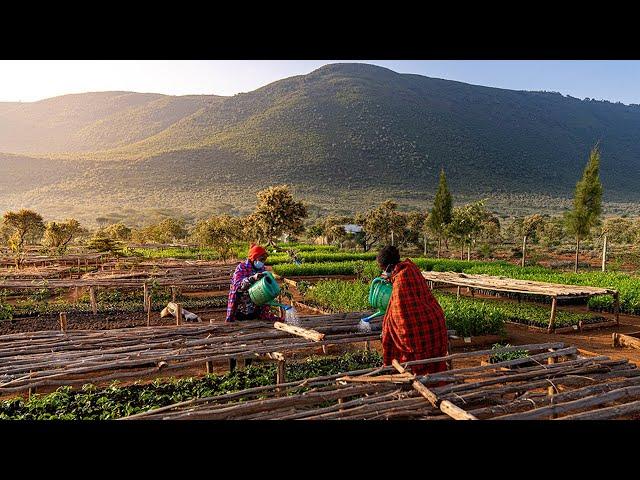 Planting Trees to Grow Forests | Eden Reforestation Projects | Vlog