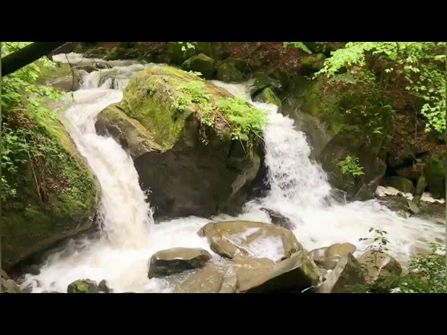 МАГИЯ ВОДЫ. Красота горного водопада. Идеальное сочетание музыки с природой. Видео для Релаксации