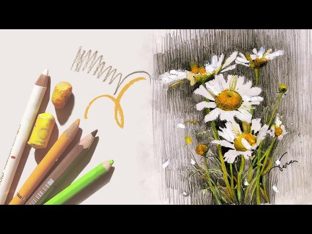 Рисунок цветными карандашами. Ромашки. An illustration lesson. Sketch with Vera Kalchenko (Eng subs)