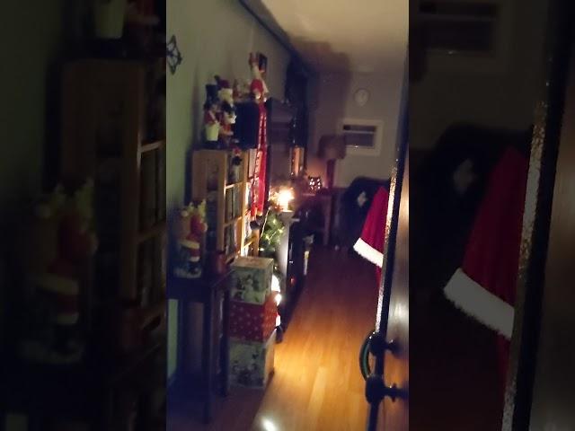 Santa Caught On Camera!