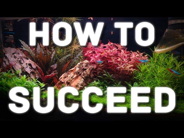 This is ALL You Need to Know for Planted Aquarium Success!