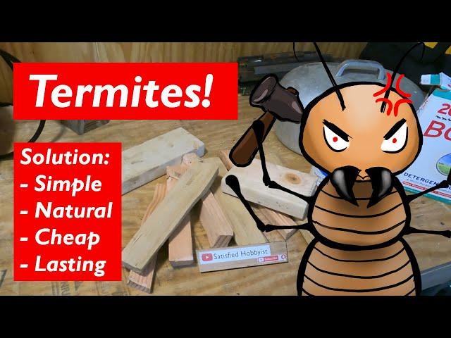 Termites eat, and they don't repeat! DIY natural pest control for the home and shop.