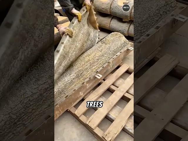 China Builds Fake Trees So Real, You’ll Be Fooled!