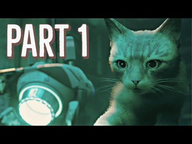 Stray Plays Stray | Full Game Playthrough | Part 1