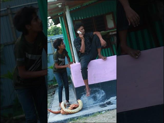 Fake Big King Cobra Snake Prank Part 8 By Emtiaz Bhuyan#Shorts