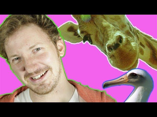 Can animals be gay? #ProudToLove | BBC Earth Explore