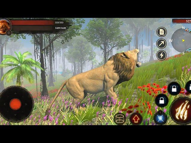 Best Animal Games - The Lion Simulator - Android Gameplay HD