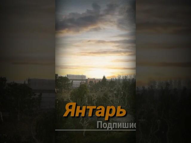 S.T.A.L.K.E.R - Янтарь. Рассказчик Сидорович