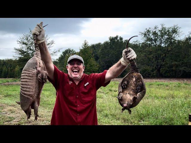 Troublesome ARMADILLOS at the GOLF course.