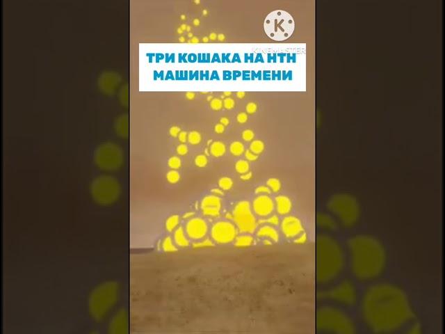 Три кошака на НТН Машина времени #shorts