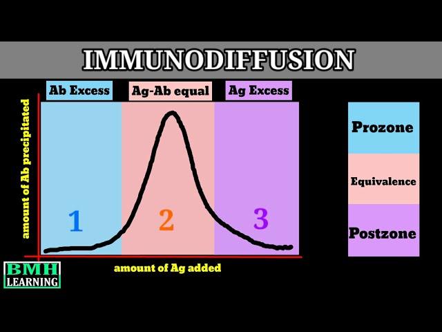 Immunodiffusion | Singe Immunodiffusion | Double Immunodiffusion | Types Of Immunodiffusion |