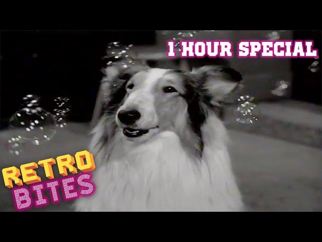 Lassie | 1 Hour Special | Full Episodes  