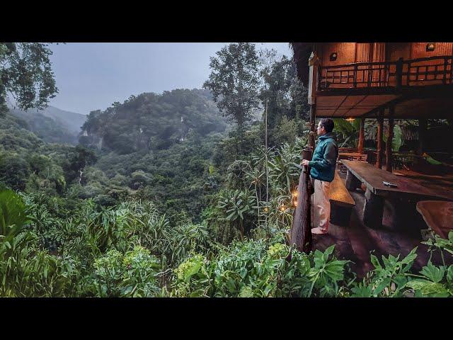 Living in a Treehouse CHIANG MAI  A Magical Thailand Escape