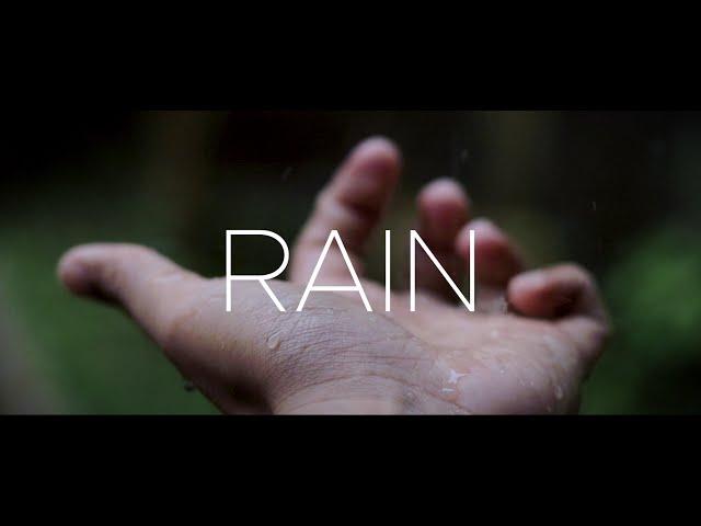 Canon 200D (SL2) with 50 mm F1.8 lens | Rain Cinematic Video