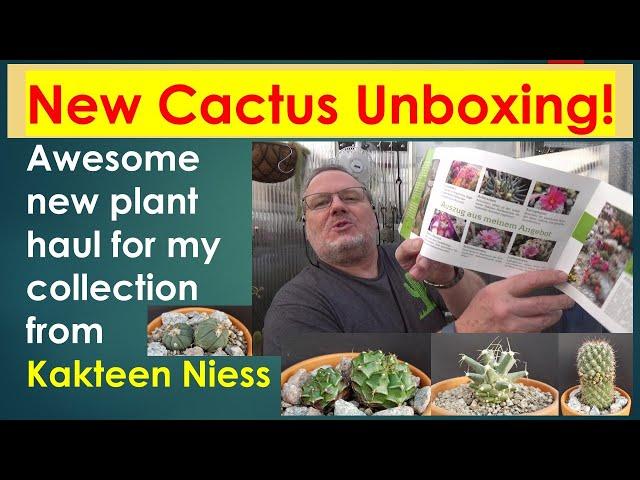 Unboxing New Cacti For My Cactus Collection & Greenhouse | Plant Haul | Kakteen Niess #cacti  #unbox