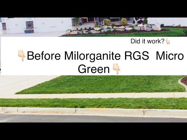 Before and After Milorganite Rgs Micro Green -Apply Humic12