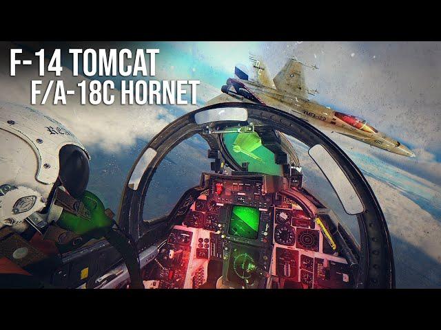 F-14 Tomcat Vs F-18 Hornet Dogfight | Digital Combat Simulator | DCS |