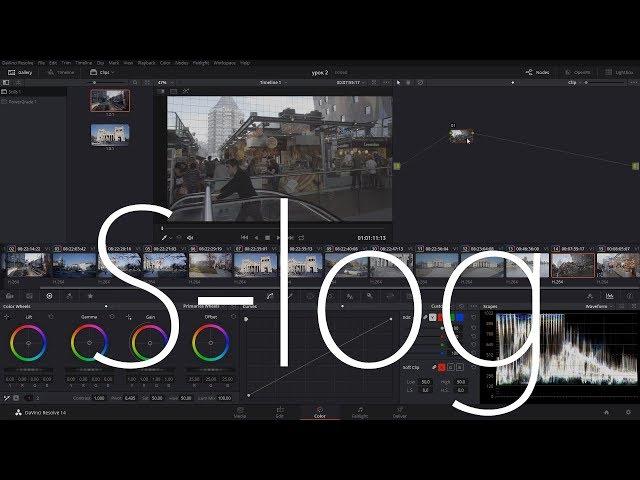 Работа с S-log2. Как работать с LUT. (Часть 2) Урок по Davinci Resolve 14