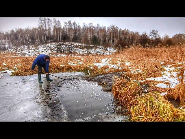 Как добыть мотыля зимой. Копаю пруд, собираю грибы