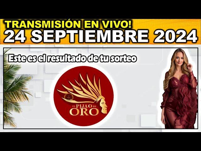 Resultado PIJAO DE ORO MARTES 24 de septiembre de 2024 #chance #pijaodeoro