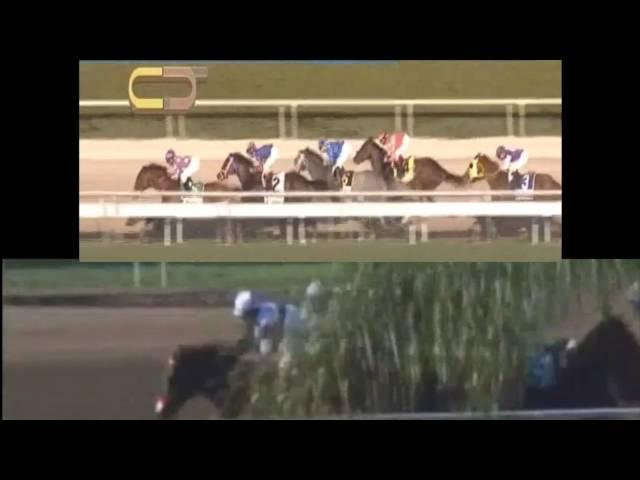 Kentucky Derby 2016: who is fastest: Nyquist or Mohaymen