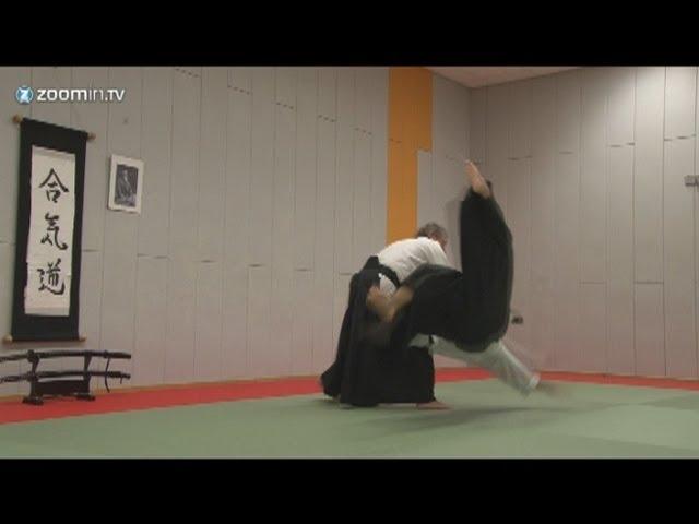 Aikido - Gyaku Hanmi Katate Dori Irimi Nage