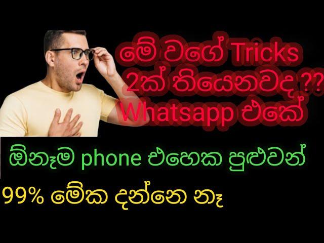 Secret WhatsApp tricks nobody knows | Sinhala | Tech Tips10